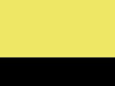Yellow/Black 106_657.jpg