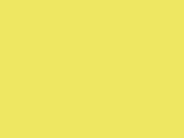 Dragon Yellow 106_802.jpg
