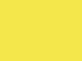Bright Yellow 12_602.jpg