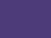 Purple 28_349.jpg