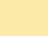 Soft Yellow 2_604.jpg