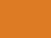 Fluorescent Orange 3_405.jpg