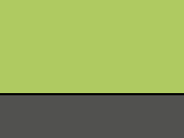 Lime/Graphite Grey 3_521_lime_graphitegrey.jpg
