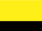 Yellow/Black 3_651.jpg