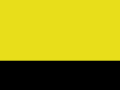 Fluorescent Yellow/Black 3_657.jpg