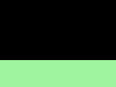 Black/Lime Green 42_165.jpg