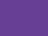 Purple 42_349.jpg