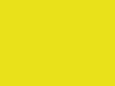 Hi-Vis Yellow 42_605.jpg
