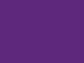 Purple 45_349.jpg