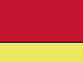 Red/Fluo Yellow 45_456.jpg