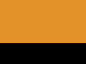 Fluo Orange/Black 45_460.jpg