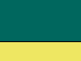 Paramedic Green/Fluo Yellow 45_556.jpg
