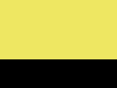 Fluo Yellow/Black 45_650.jpg