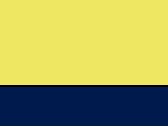 Fluo Yellow/Navy 45_652.jpg