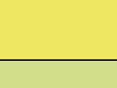 Hi-Vis Yellow/Lime 45_655.jpg