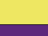 Fluo Yellow/Purple 45_664.jpg