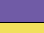 Heather Purple/Neon Yellow 56_357.jpg