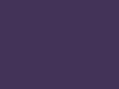 Purple 57_349.jpg