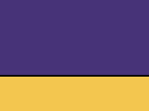 Purple/Yellow 60_352.jpg