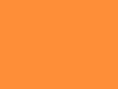 Neon Orange 68_405.jpg