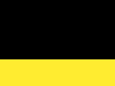 Black/Yellow 69_168.jpg