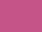 Bright Pink 69_408.jpg