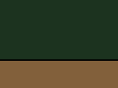 Forest Green/Taupe 69_554.jpg