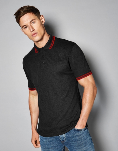 Classic Fit Tipped Collar Polo 